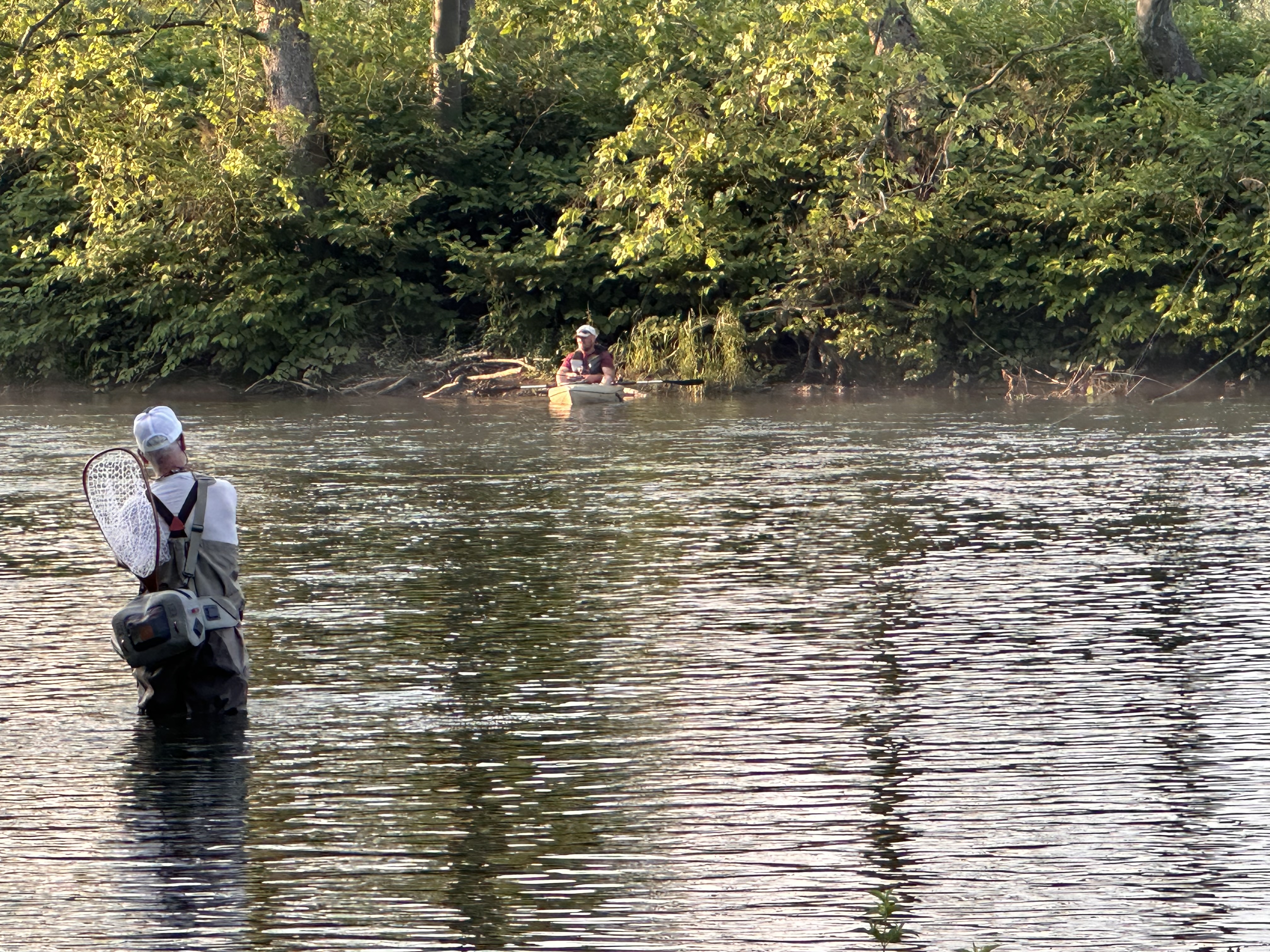 Wading the West Branch Delaware