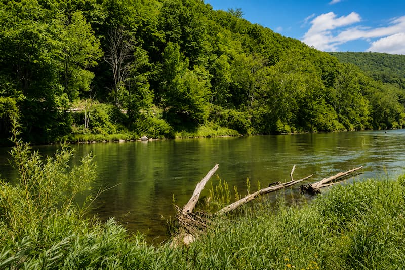 Upper Delaware River fishing report conditions on the West Branch