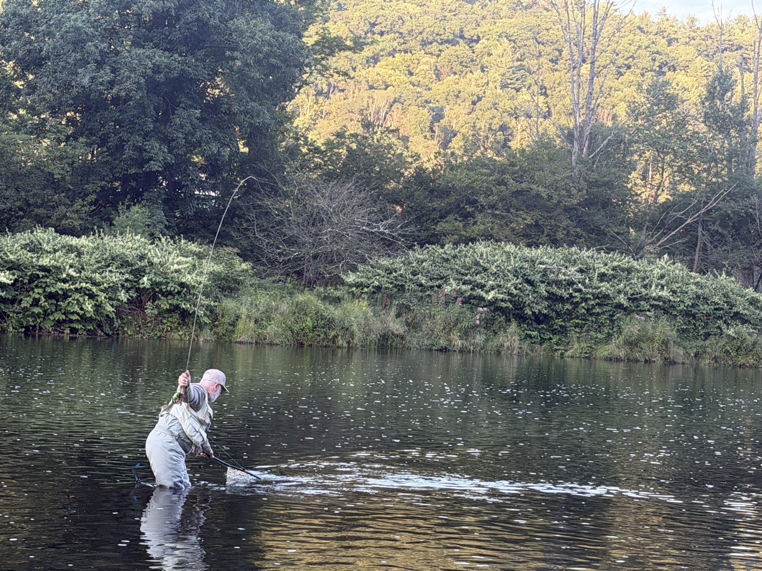 Upper Delaware River fishing report conditions on the West Branch