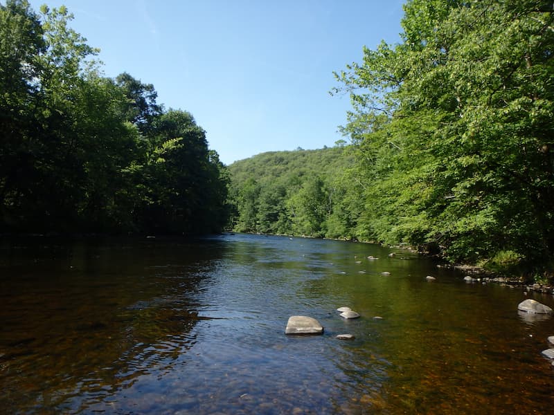 West Branch Delaware River flowing through wooded banks near Hancock, NY