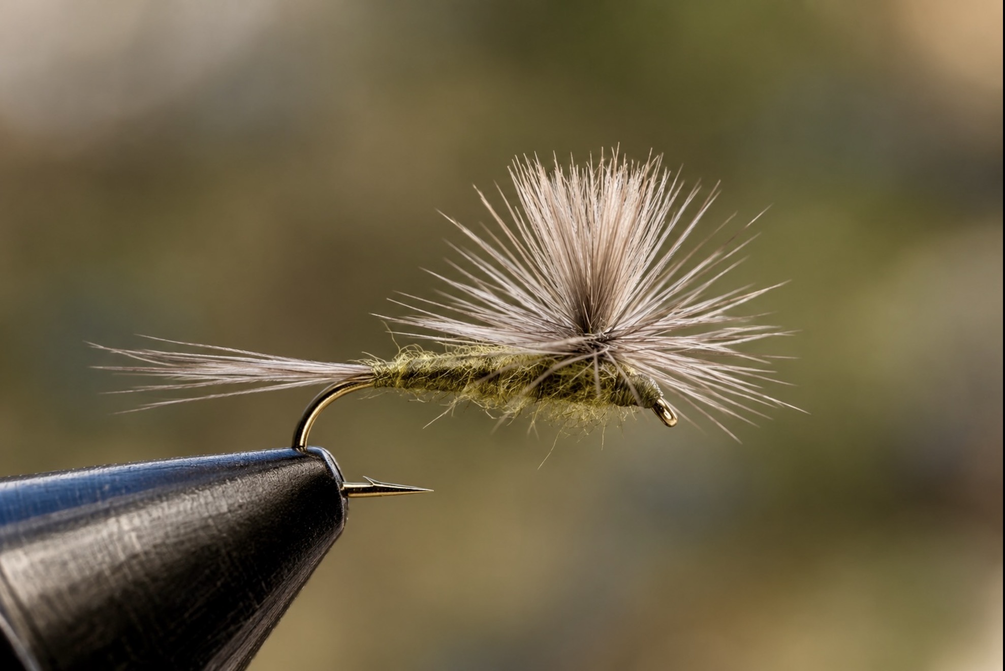Parachute Blue-Winged Olive dry fly, Upper Delaware River fishing report fly of the week