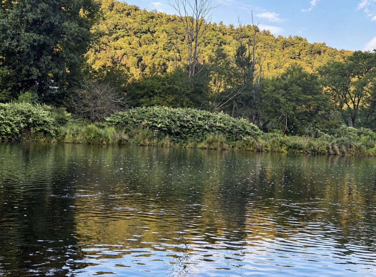 Upper Delaware River in late September, fishing report conditions