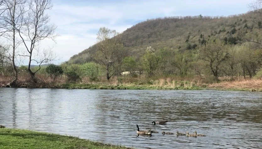 Upper Delaware River under cloudy skies, October fishing report conditions